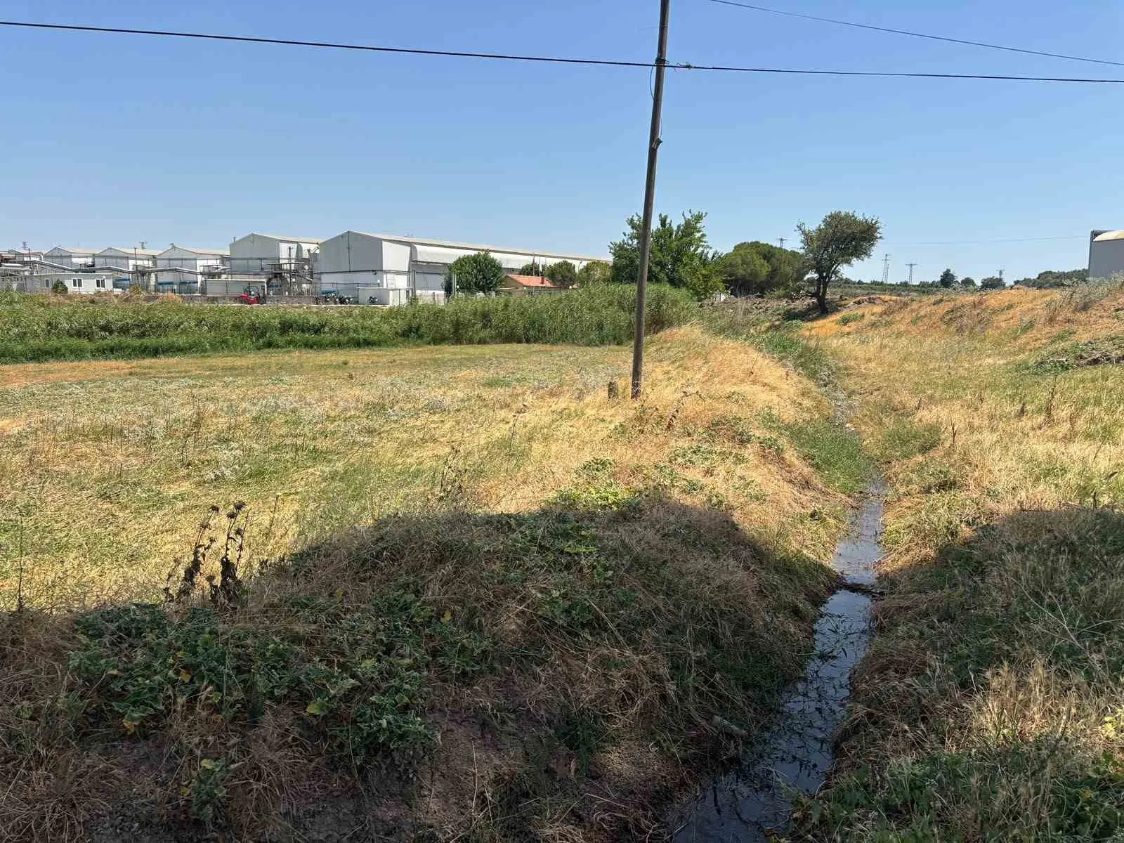 Saruhanlı'da doğa katliamına suçüstü: Tavuk çiftliğinin kirli oyunu deşifre oldu
