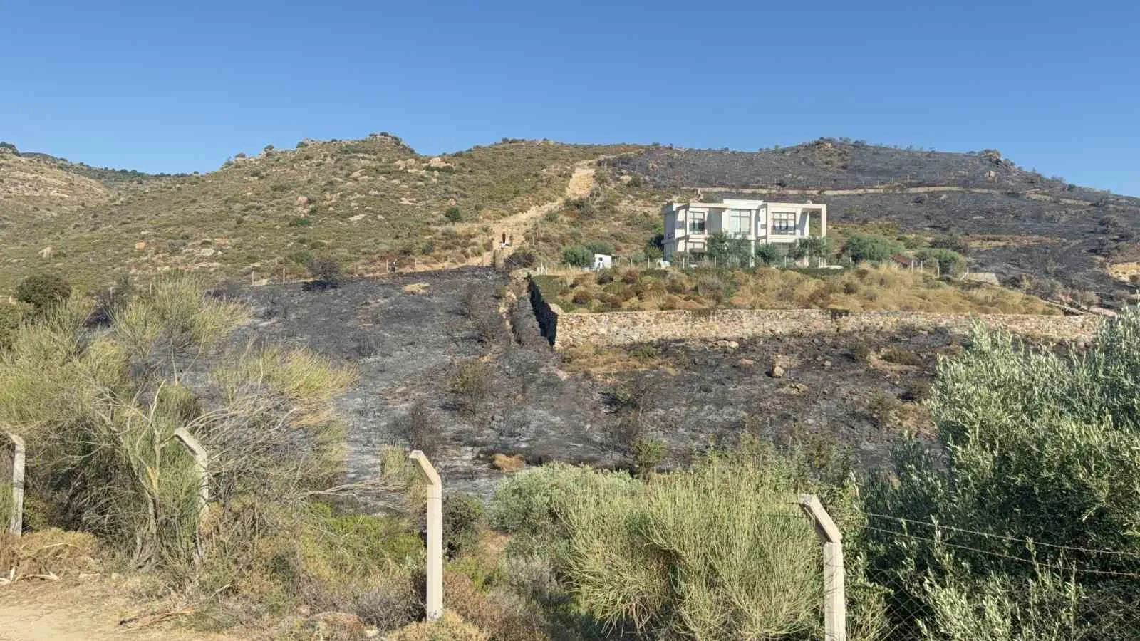 Bodrum Dereköy’de korkutan yangın: Ekipler havadan ve karadan müdahale etti