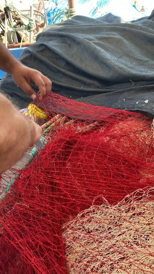 Didim'de deniz ekosistemi için kritik mesai: Ağlar tek tek incelendi