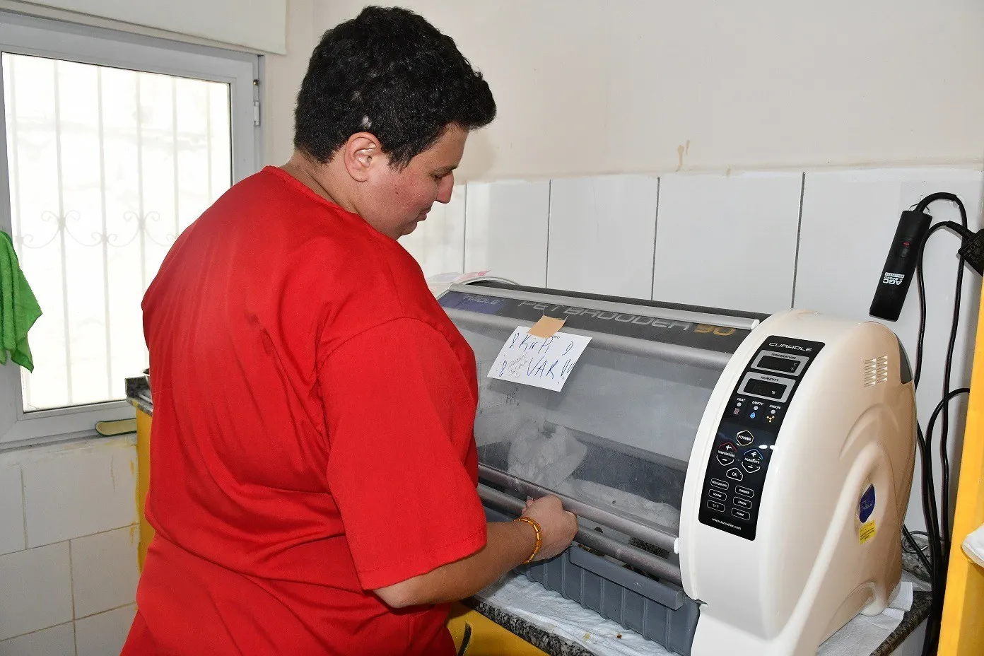 Motor kaputundan rehabilitasyon merkezine: Yavru kirpilerin umut dolu yolculuğu