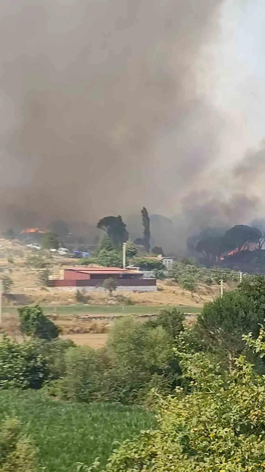Muğla’da orman alarmı: Ekipler alevlerle kıran kırana mücadele ediyor