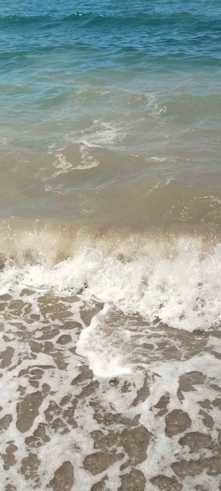 Bodrum denizinde kirlilik skandalı: Yargıdan sert müdahale