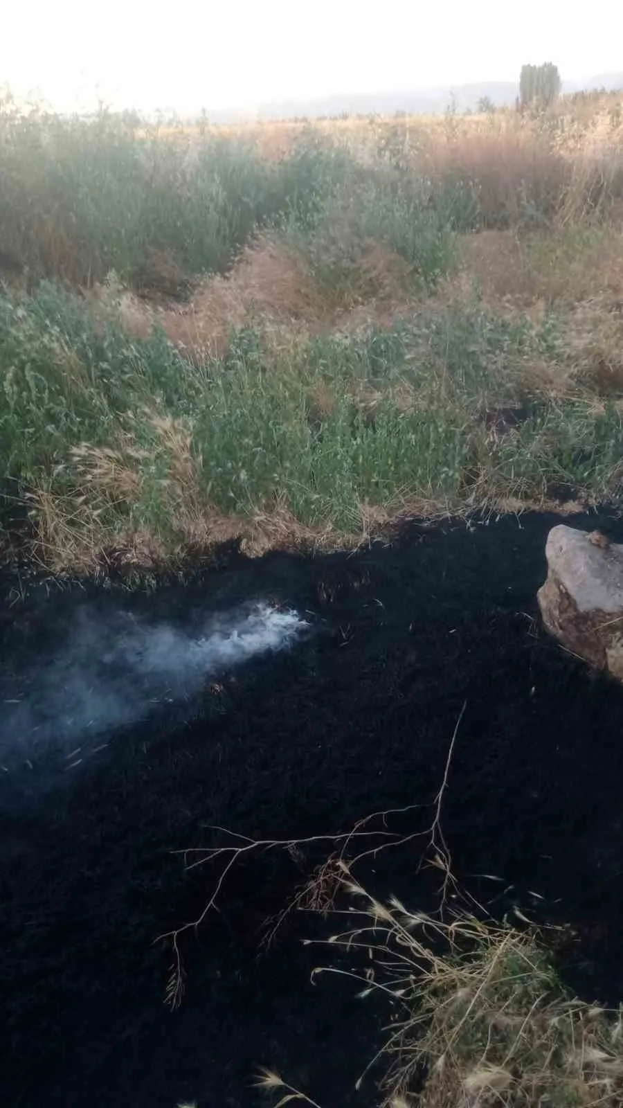 Şuhut'ta korkutan anız yangını: Ekipler felaketi kıl payı önledi