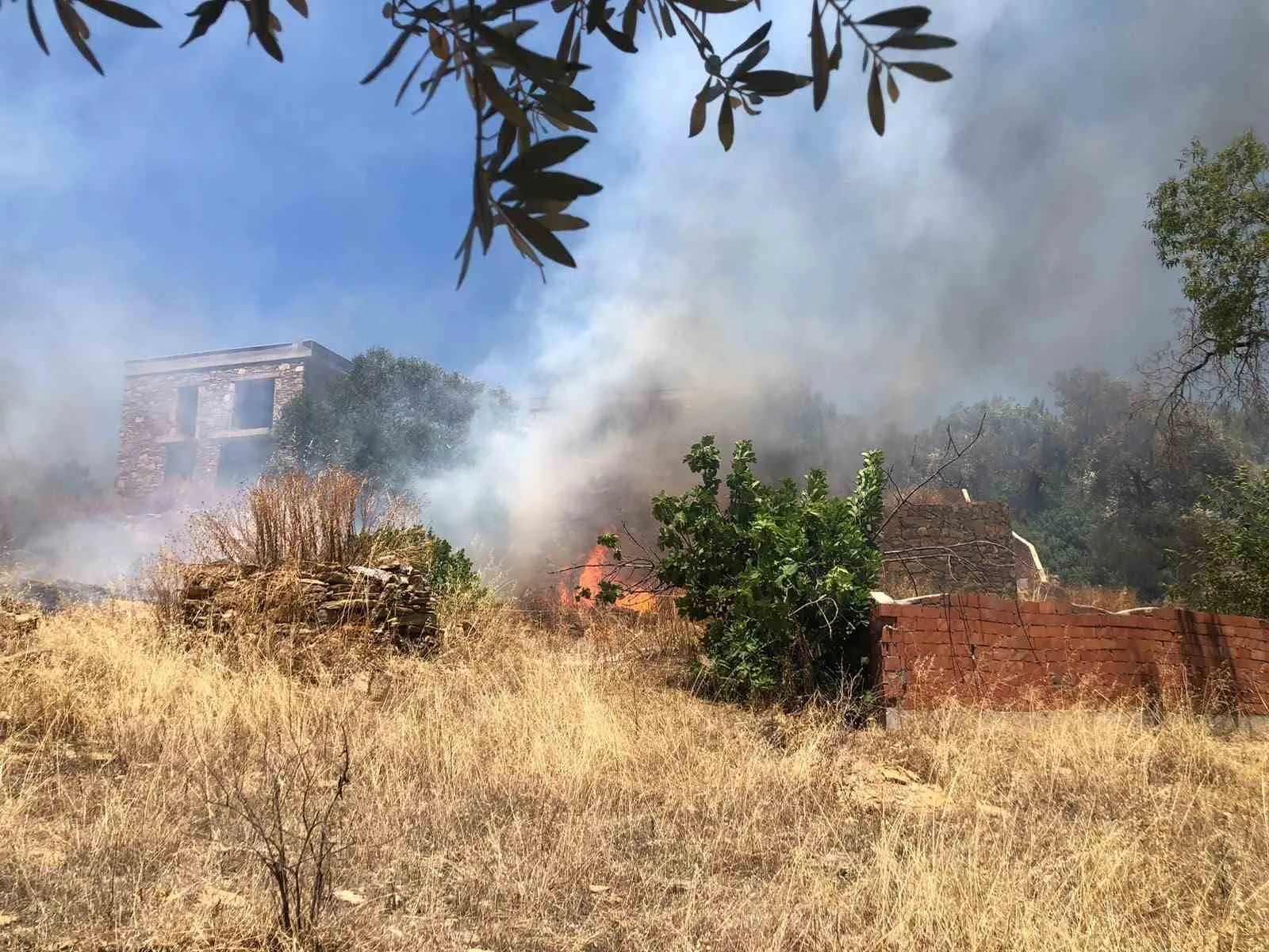 Bodrum'da korkutan yangın: Ekipler alevlere geçit vermedi