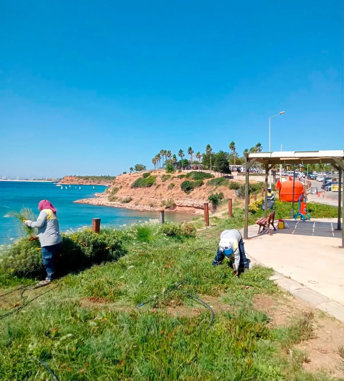 Didim’de yaşam alanlarına estetik dokunuş: Belediye ekipleri sahada