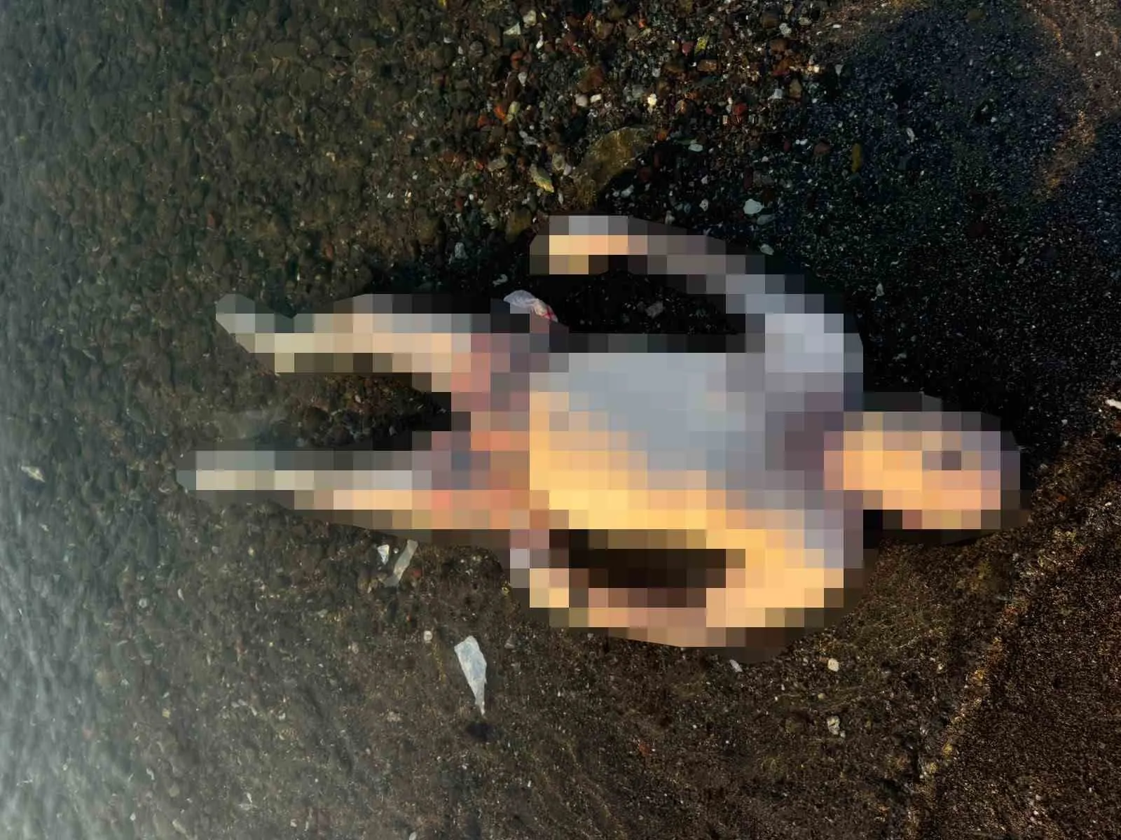 Marmaris Halk Plajı’nda şoke eden keşif: Sabahın ilk ışıklarında denizden cansız beden çıktı