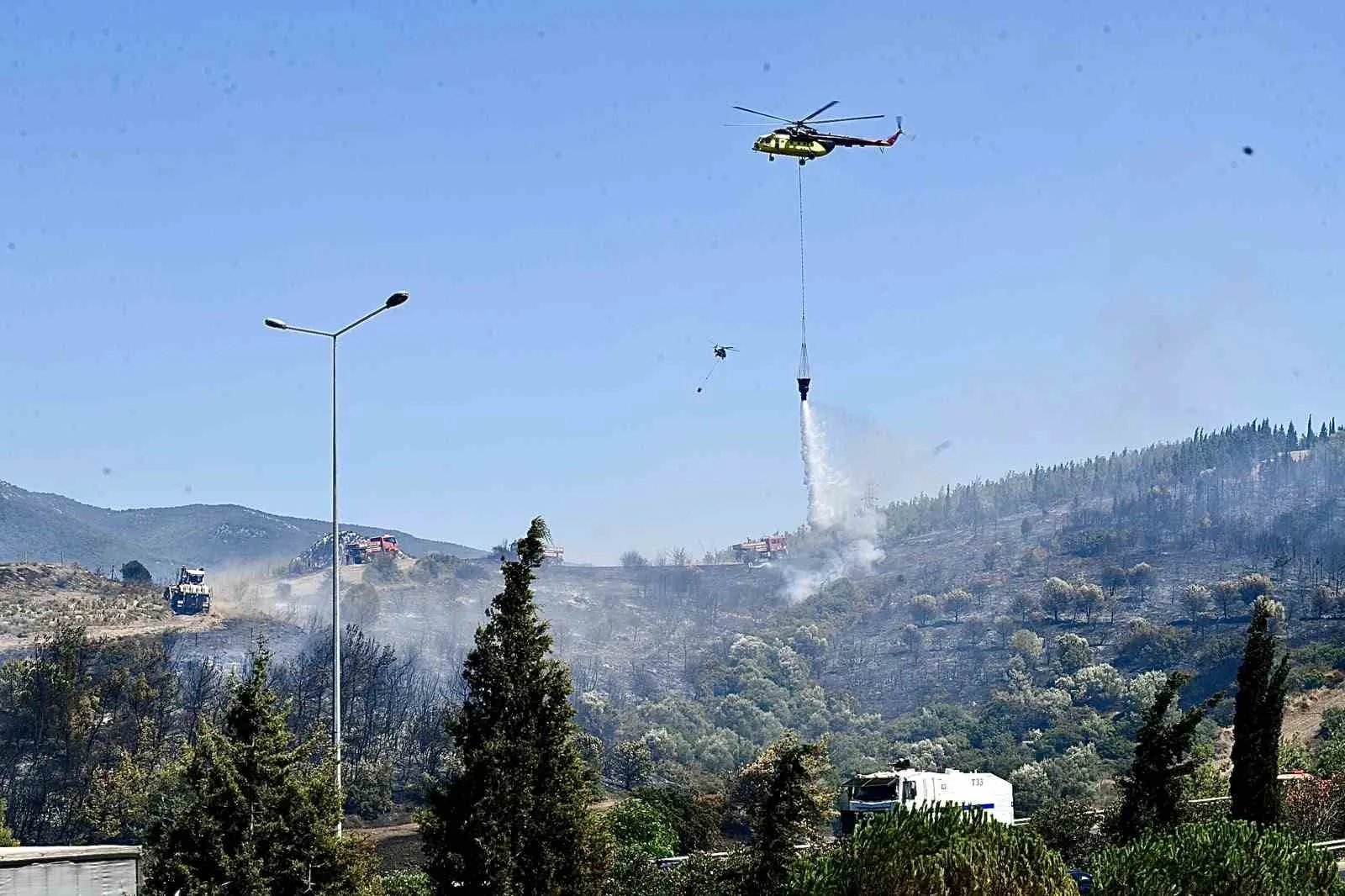 Alevlerin ortasında kalan minik canlıya itfaiye eli: Dumandan etkilenen bukalemun hayata döndü