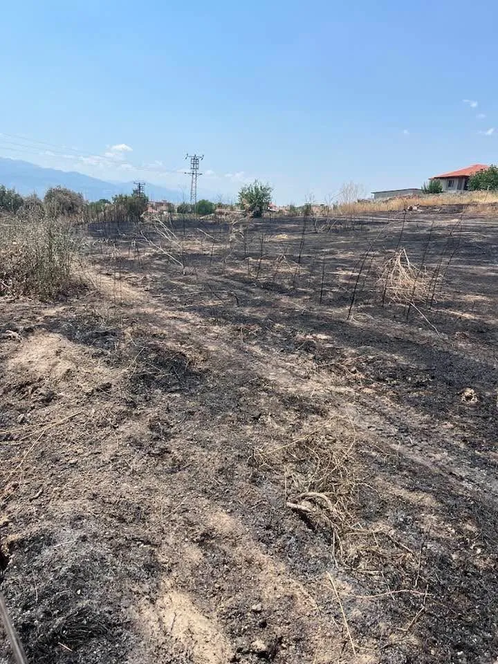 Sarıgöl'de korkutan yangın: Mahalleli ve ekipler seferber oldu