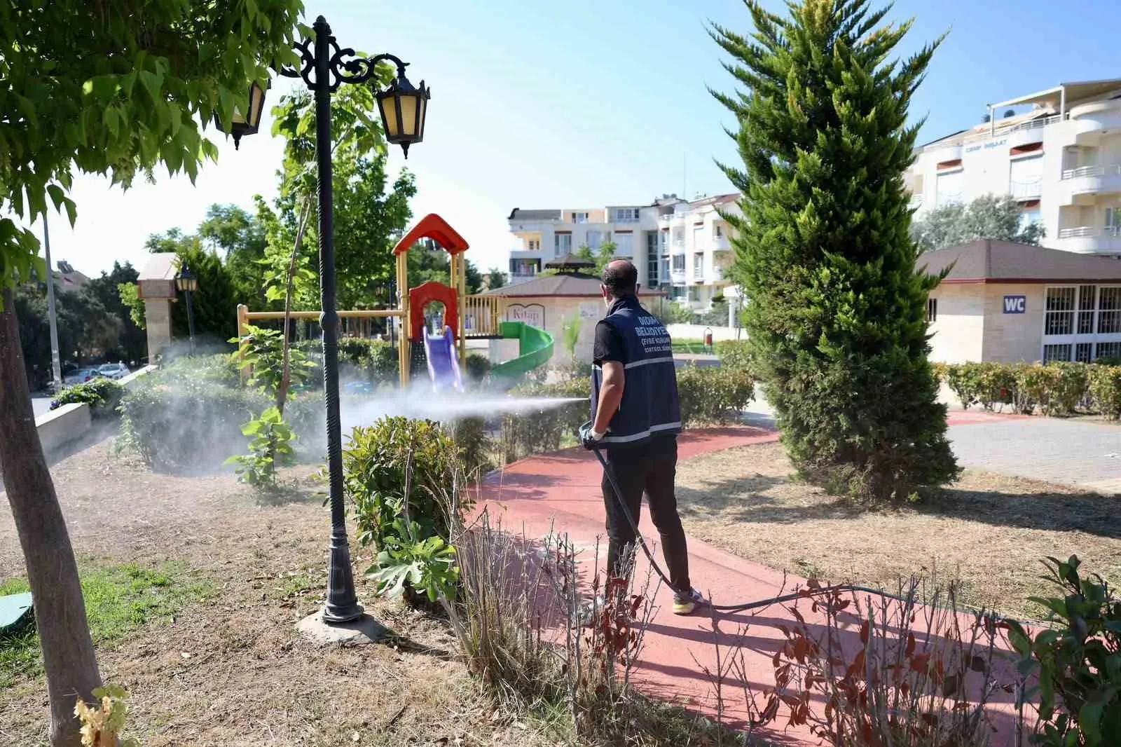 Didim’de haşere mesaisi: Belediye ekipleri sahada