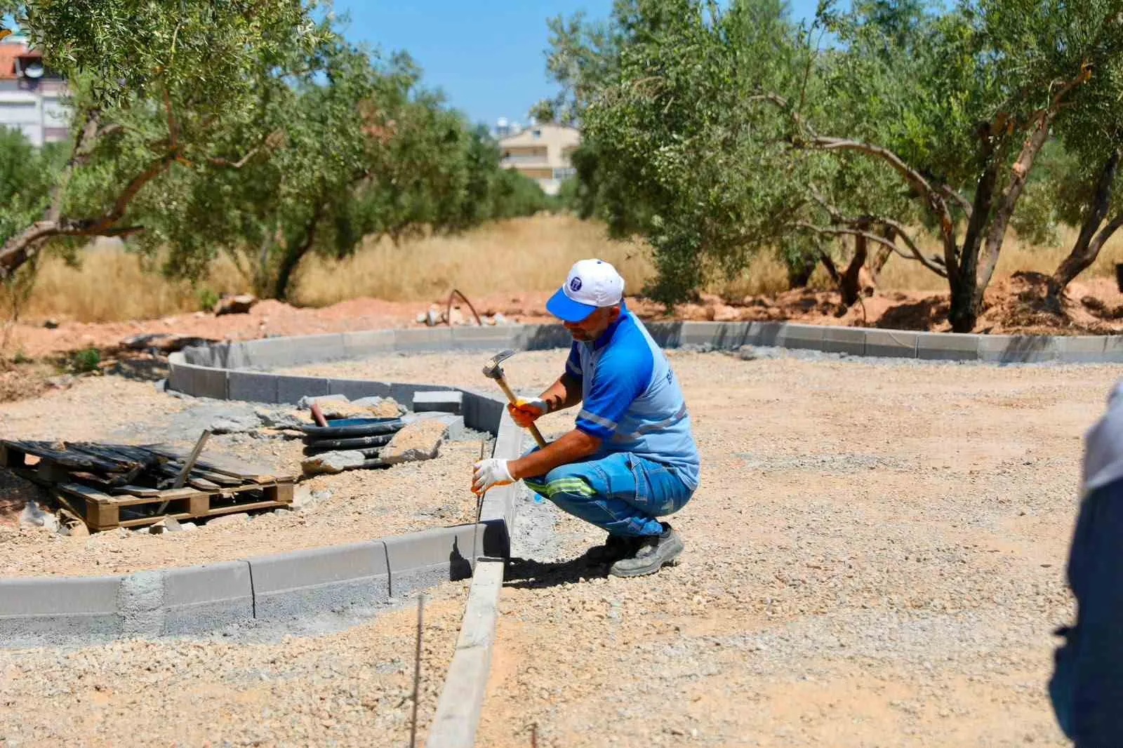 Didim’de doğa ile iç içe yeni bir buluşma noktası: Zeytin Park projesinde sona doğru