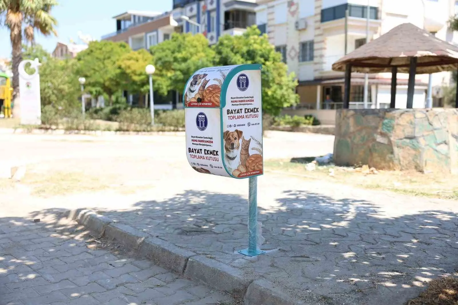 Didim'de bayat ekmekler çöpe değil can dostların sofrasına gidiyor