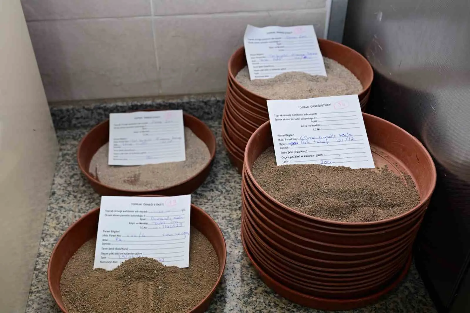 Manisalı çiftçinin tarlasında bilimsel hasat dönemi: Analizle gelen bereket