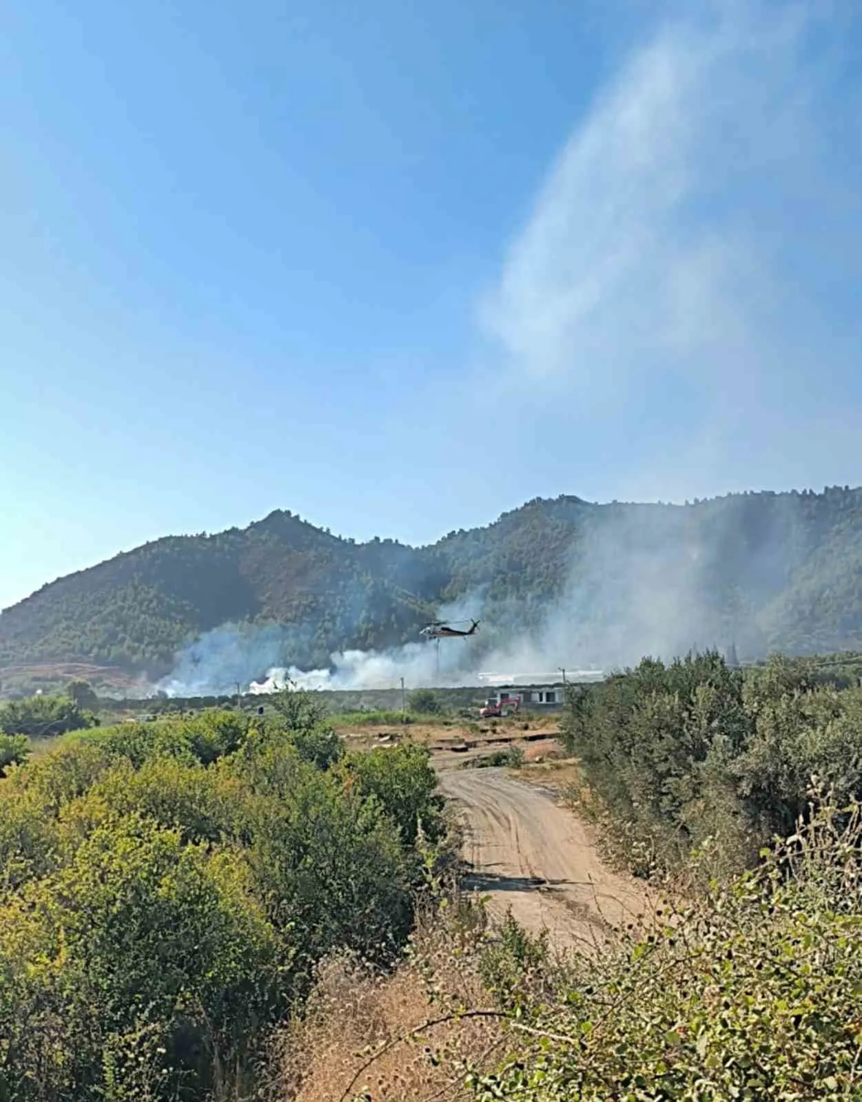 Dalaman’da tarım arazisinde panik anları: Ekipler alevlere geçit vermedi