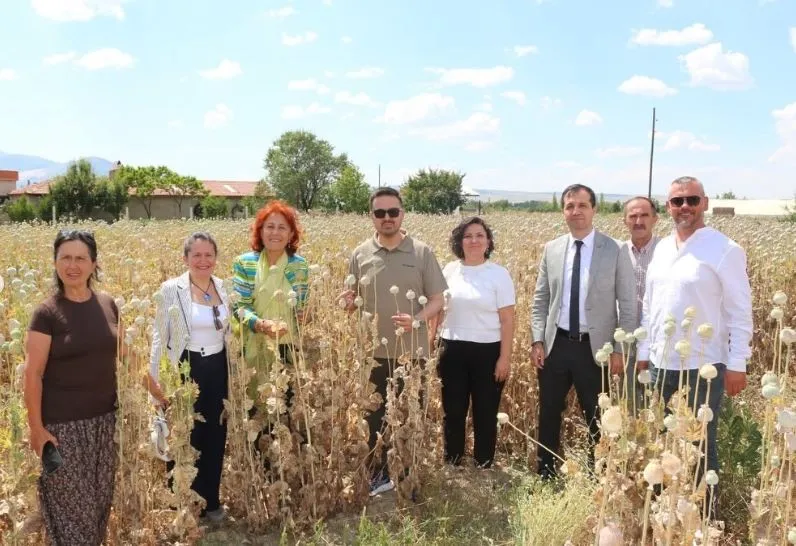 Tarladan sofraya kadın dayanışması: Kuşadalı üreticiler Isparta’da haşhaşın peşinde