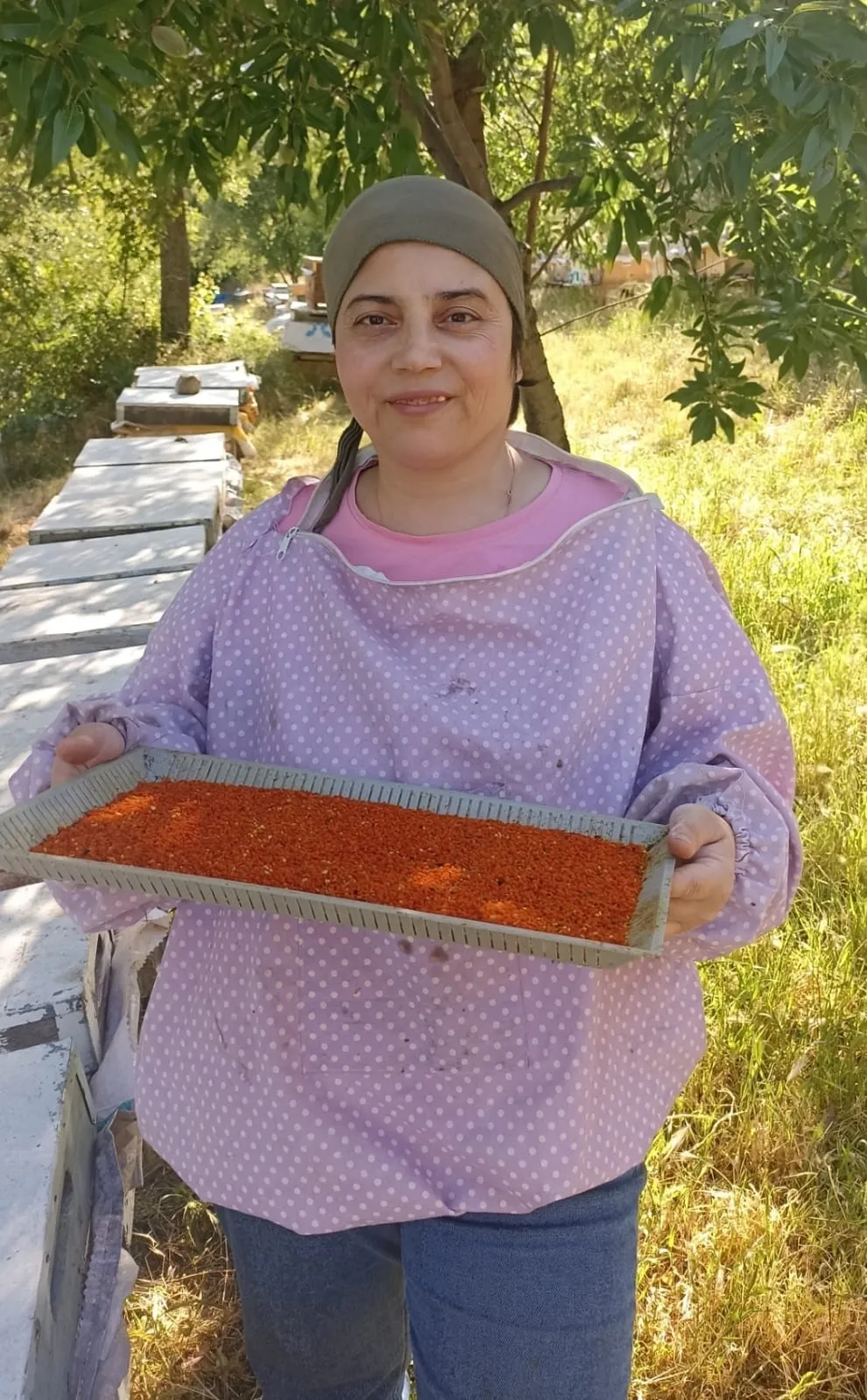 Buldan’da renk cümbüşü hasada dönüştü: Doğanın enerji deposu toplandı