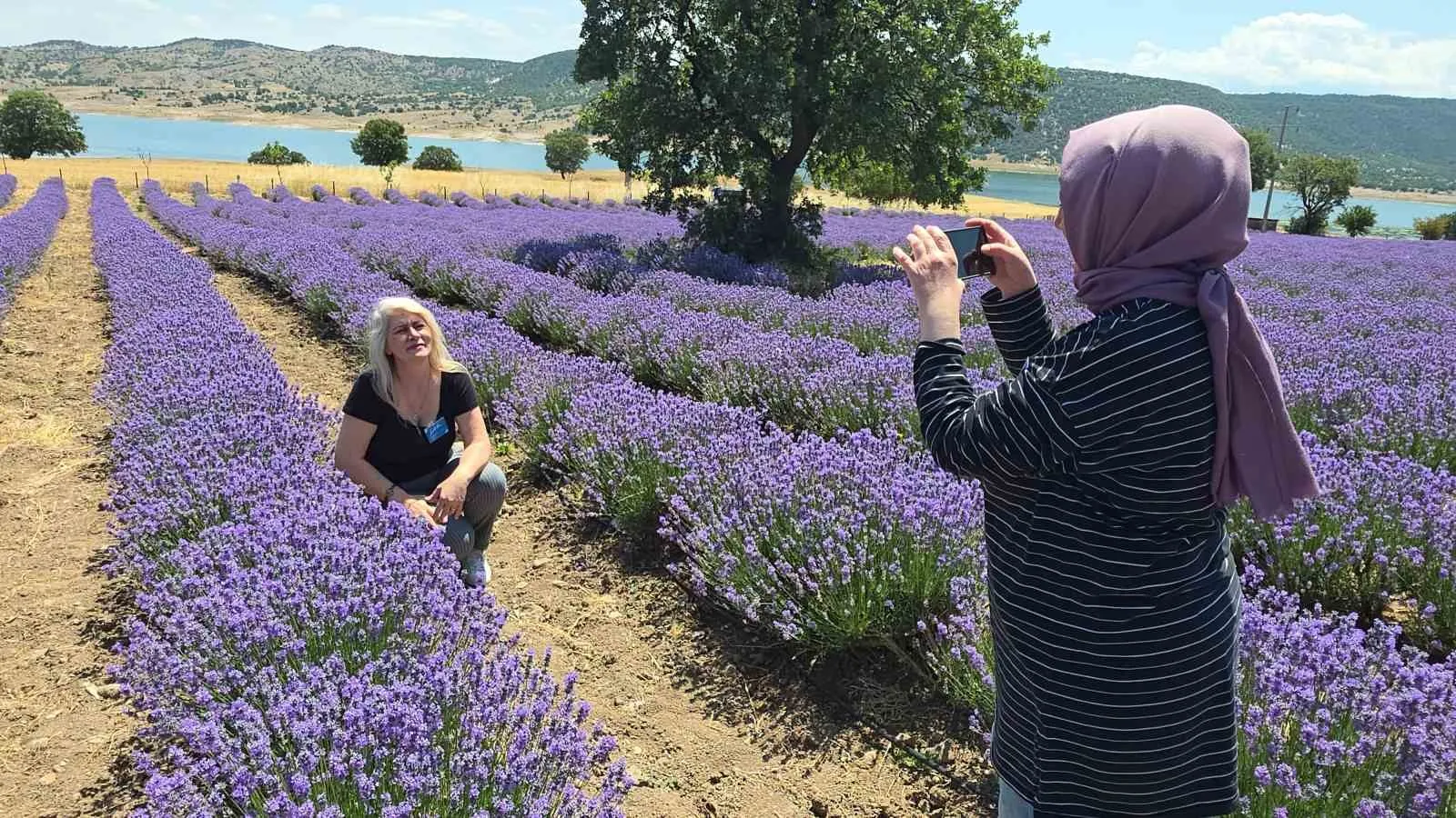 Kütahya’nın mor rüyası: Porsuk Çayı kıyısında görsel şölen