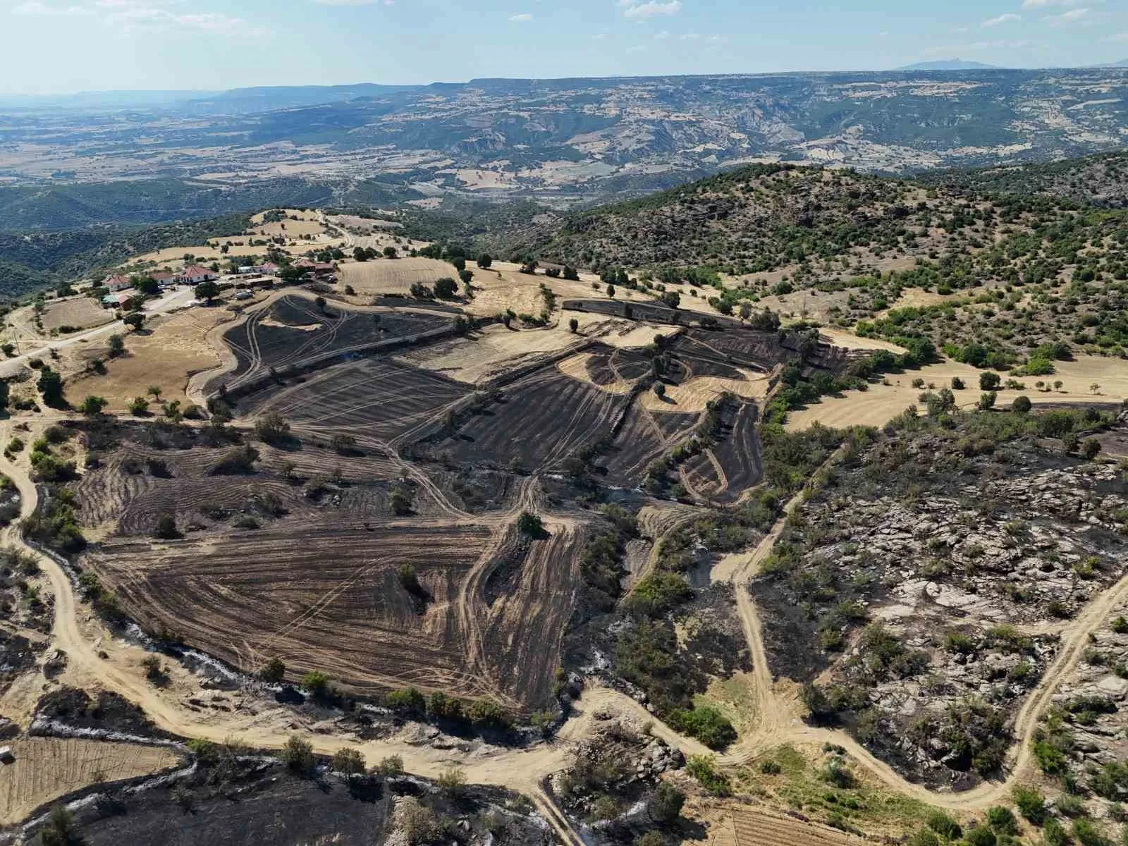 Uşak’ta korkutan yangın: Ekipler alevleri büyümeden durdurdu