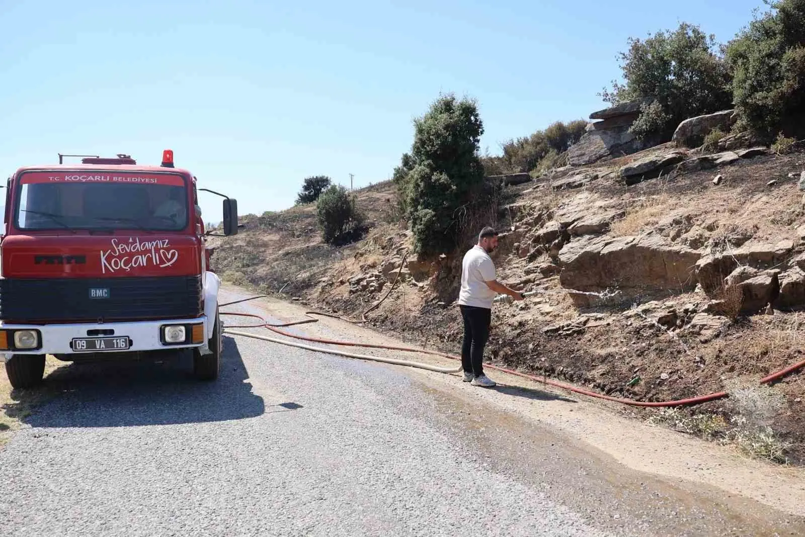 Koçarlı'da zeytinlik alarmı: Başkan Arıcı olay yerinde incelemelerde bulundu