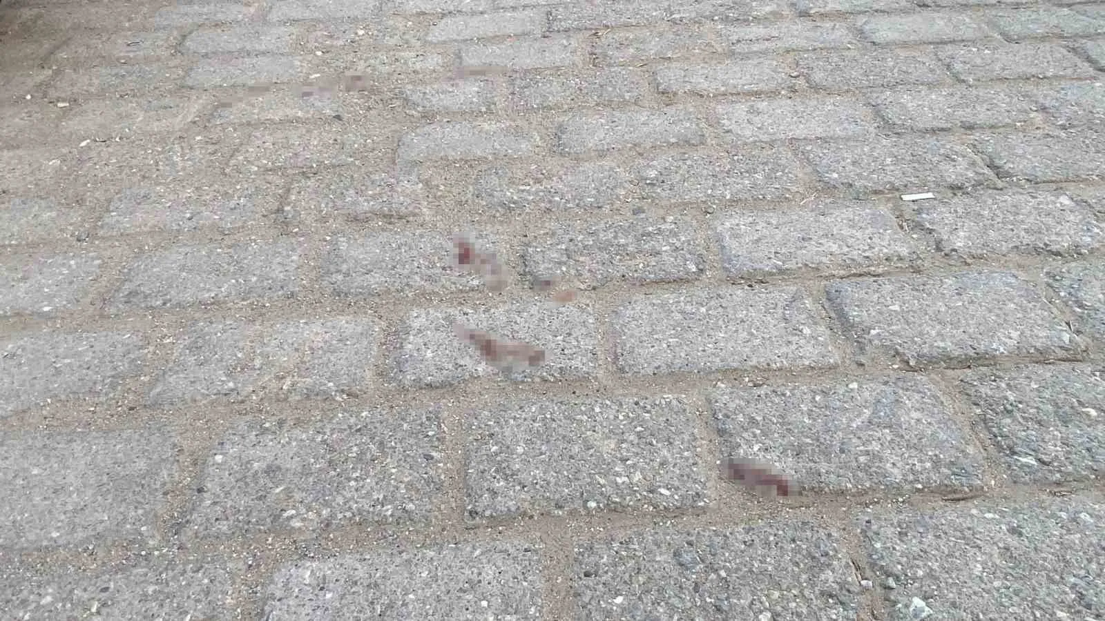 Nazilli'de dehşet anları: Boşanma görüşmesi silahlı saldırıyla bitti