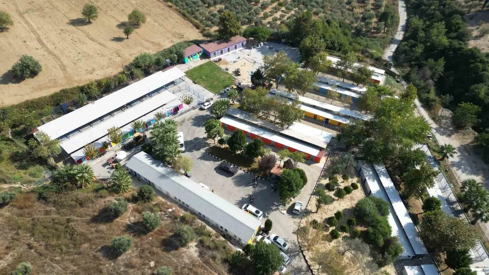Kuşadası'nda 3 bin 518 cana yeni bir başlangıç: Sokak hayvanları artık yalnız değil