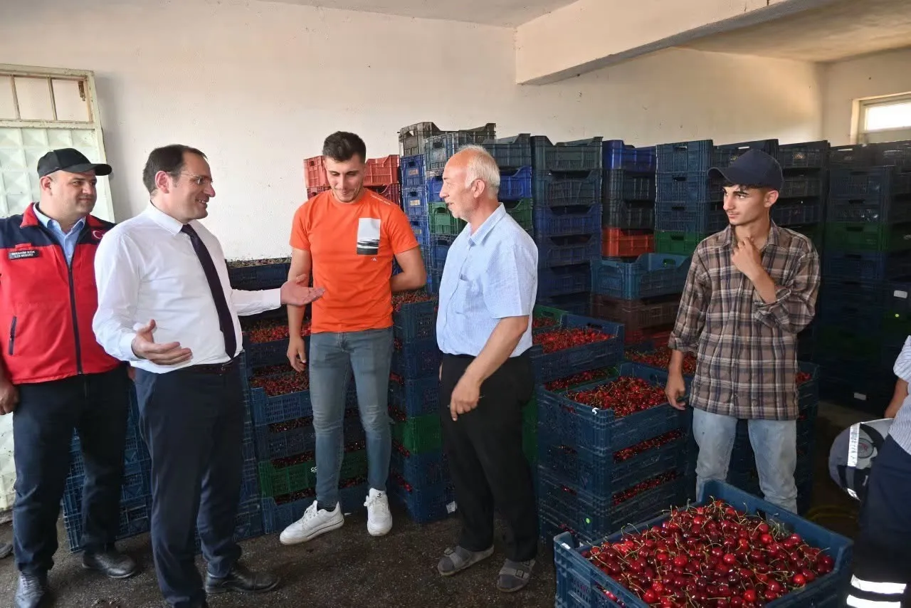Çay'da kiraz bereketi: Kaymakam Türker tarlada üreticinin sesini dinledi