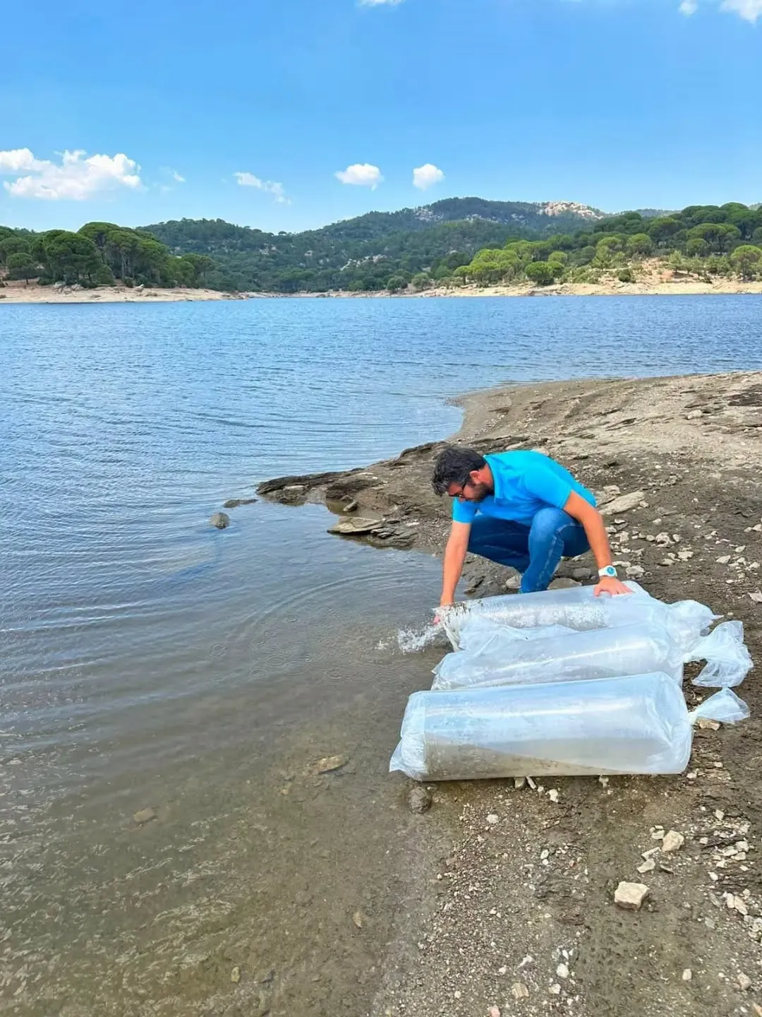 Aydın’ın su kaynaklarına devasa dokunuş: 500 bini aşkın sazan yavrusu doğaya salındı