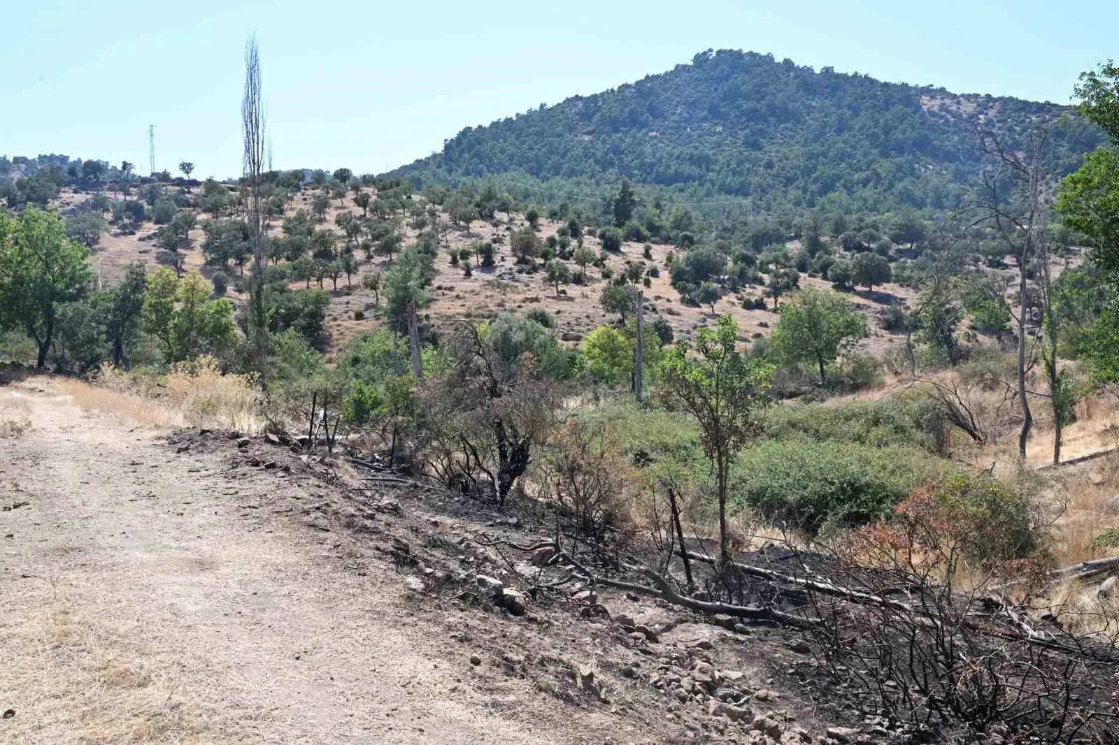 Davutlar’da Yıldırım Yangınına 7 Dakikalık Müdahale: Tanker Felaketi Önledi