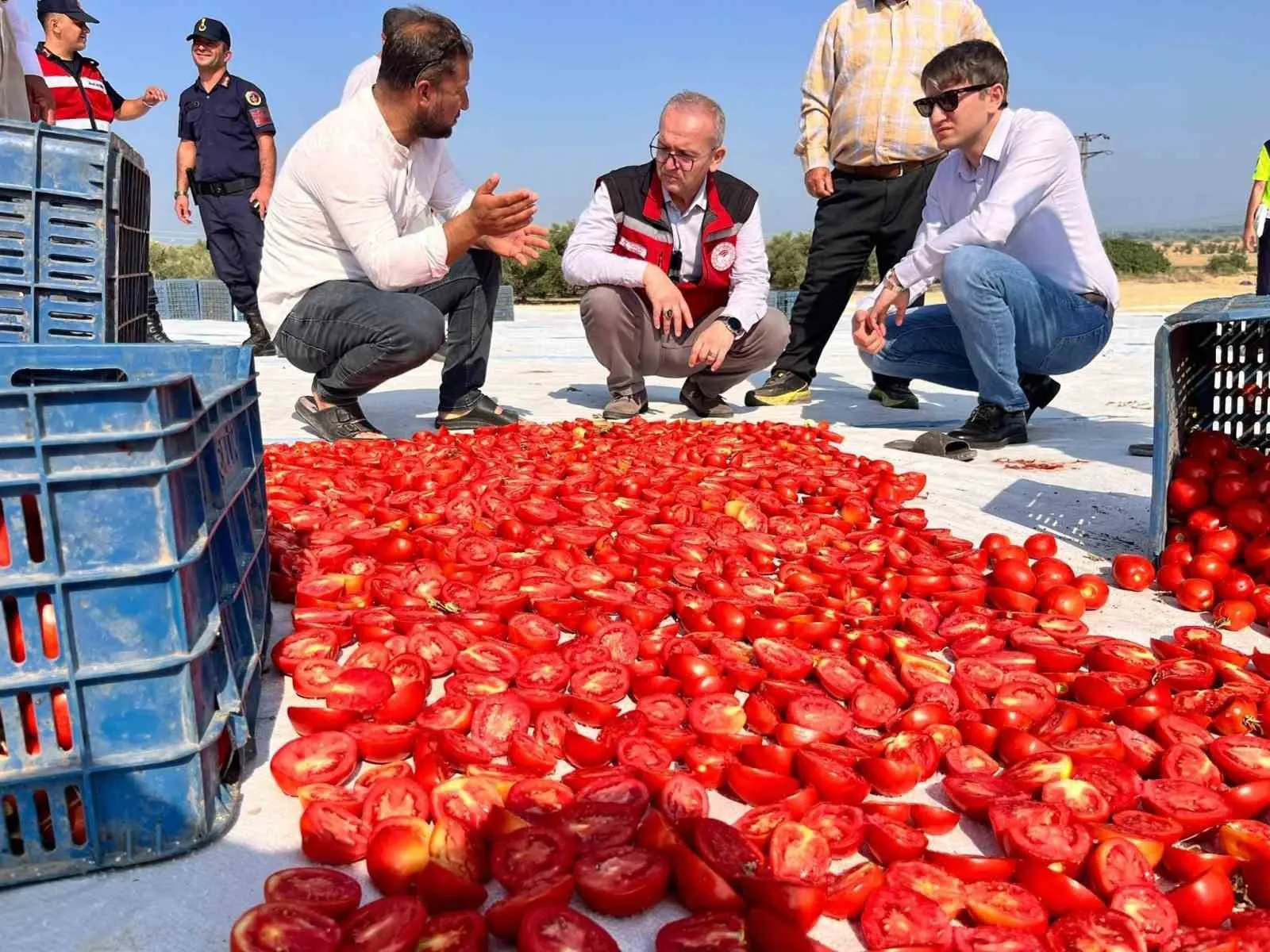 Saruhanlı’da güneşin bereketi sofralara taşınıyor: 1.500 tonluk ihracat başarısı