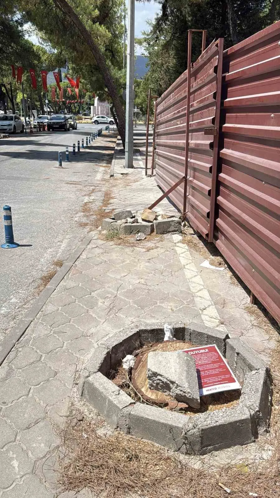 Menteşe’de güvenlik önlemi: Riskli ağaçlar temizleniyor