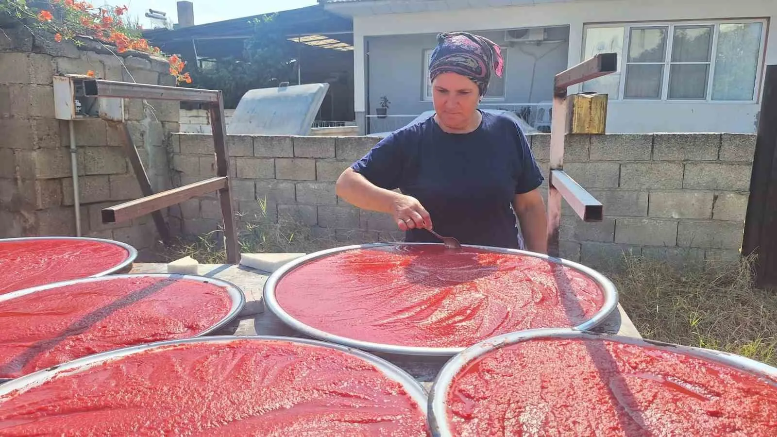 Sarıgöl'de geleneksel lezzet telaşı: Güneşin altında salça bereketi