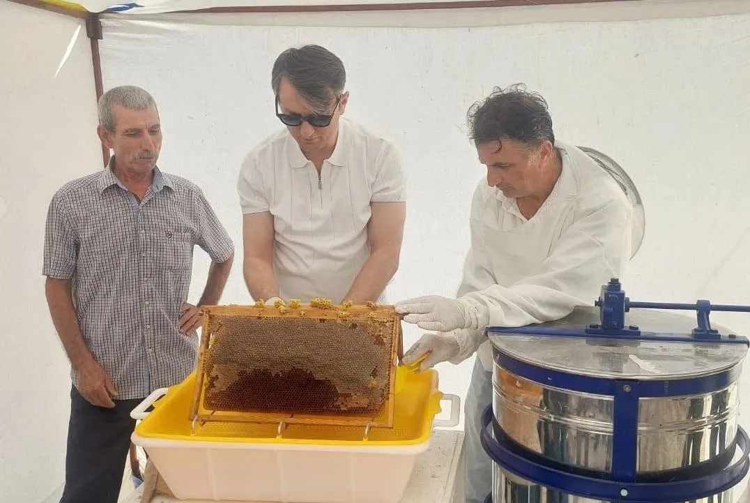 Saruhanlı’da balın yolculuğu: Kaymakam Özcan’dan yerel üretime tam destek
