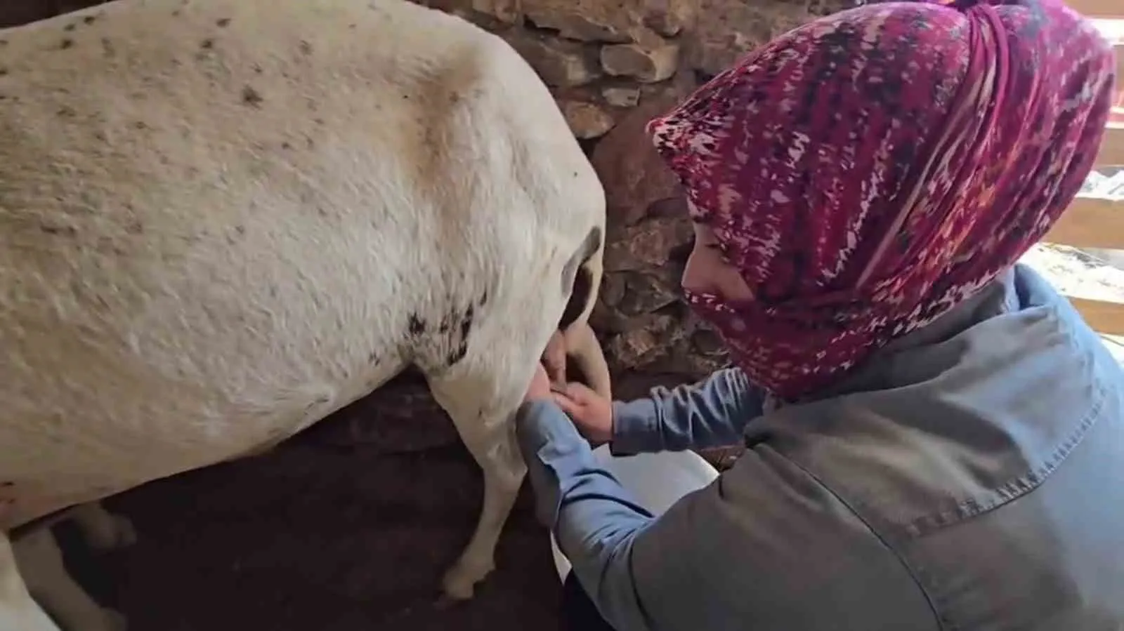 Tavas’ın ateşle dans eden lezzeti: Coğrafi işaretli yanık yoğurt