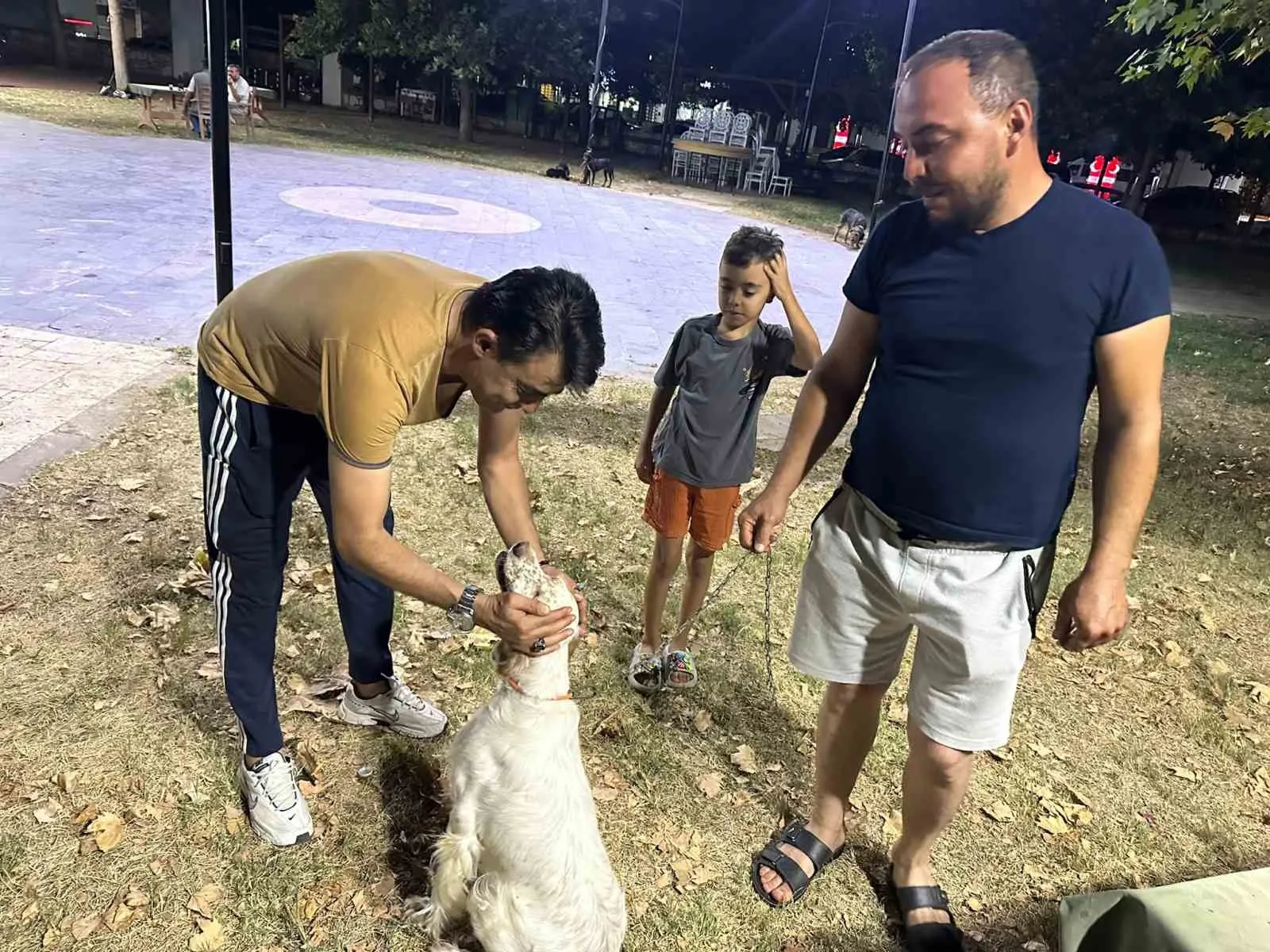 Sarıgöl'de av köpekleri için kritik adım: Kuduz riskine karşı aşı seferberliği