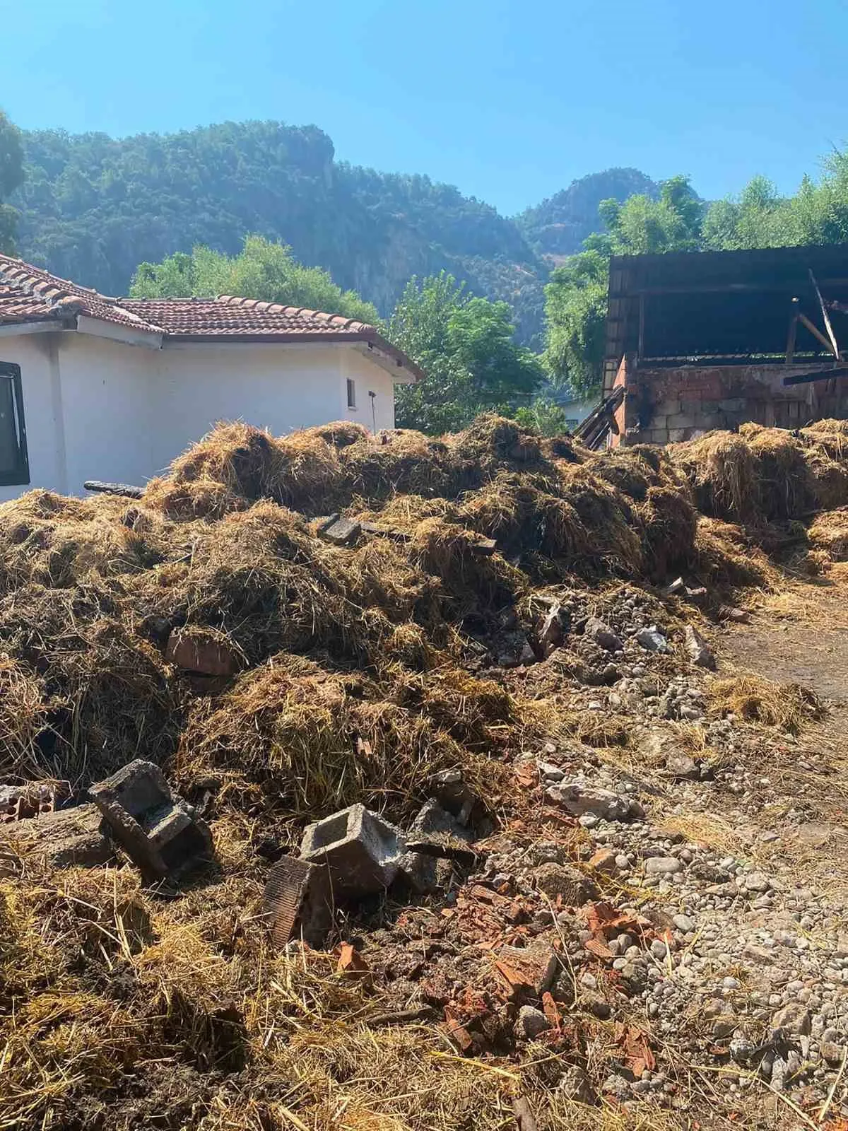Okçular’da küle dönen 500 balya için Büyükşehir seferber oldu