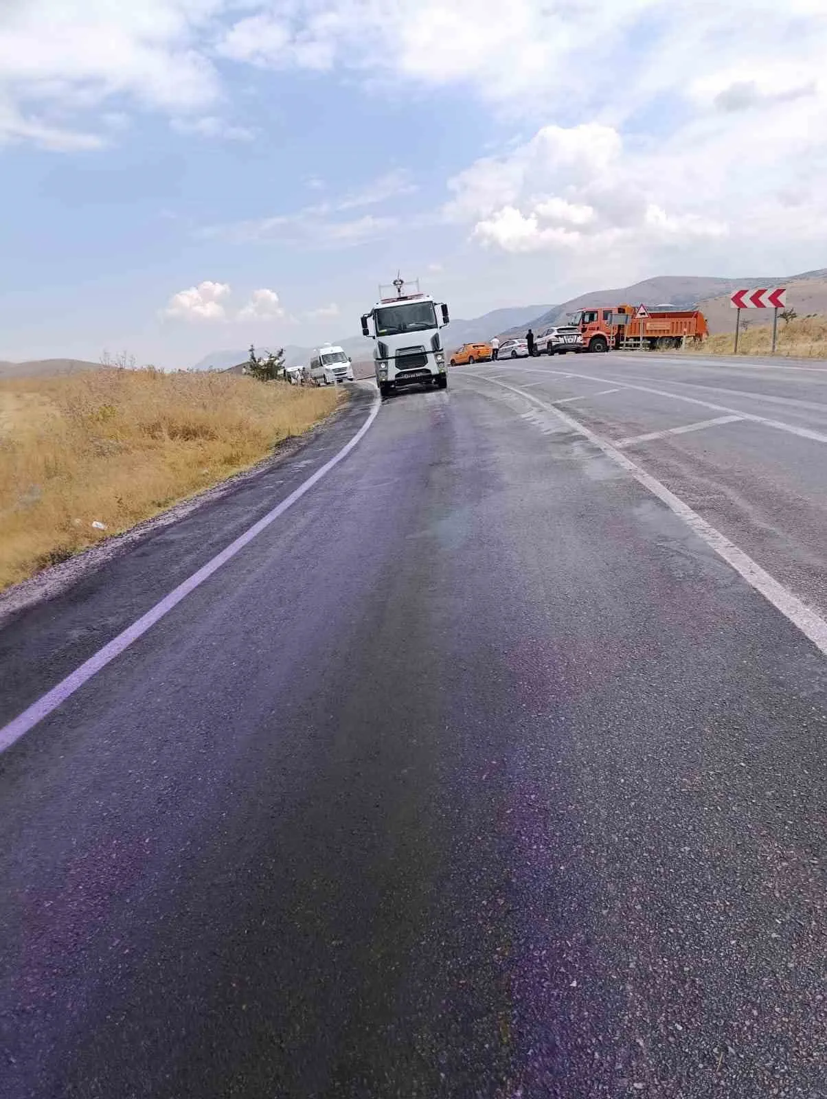 Afyonkarahisar yolunda renkli kabus: Araçlar bir anda mor renge büründü