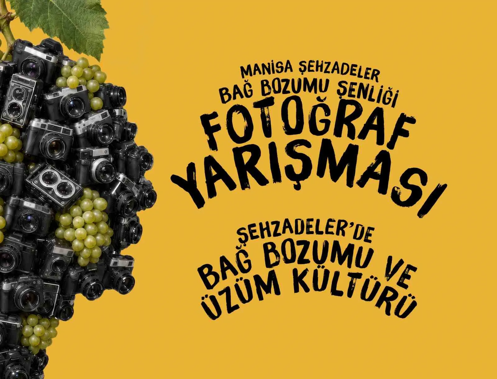 Bağbozumu Coşkusu Karelerde Ölümsüzleşecek: Şehzadeler’den Fotoğrafçılara 45 Bin TL’lik Ödüllü Yarışma