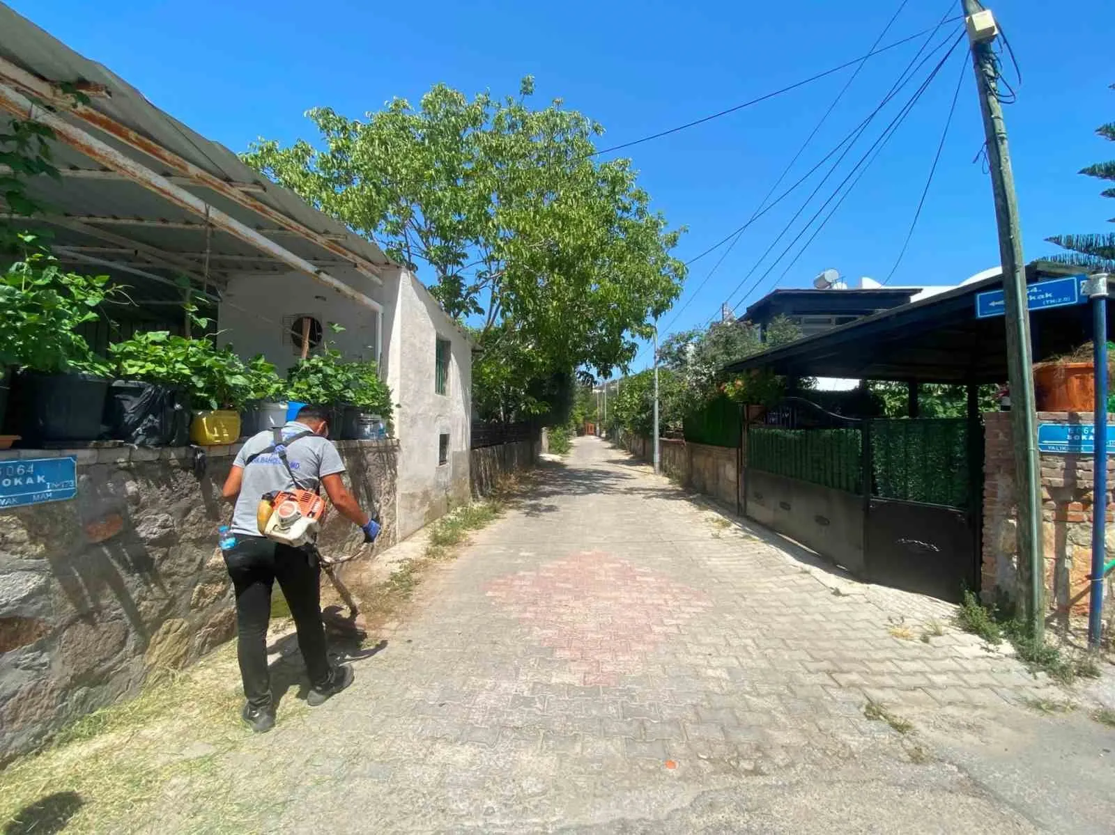 Bodrum’da alevlere karşı yeşil önlem: Binlerce metrekarelik alan temizlendi