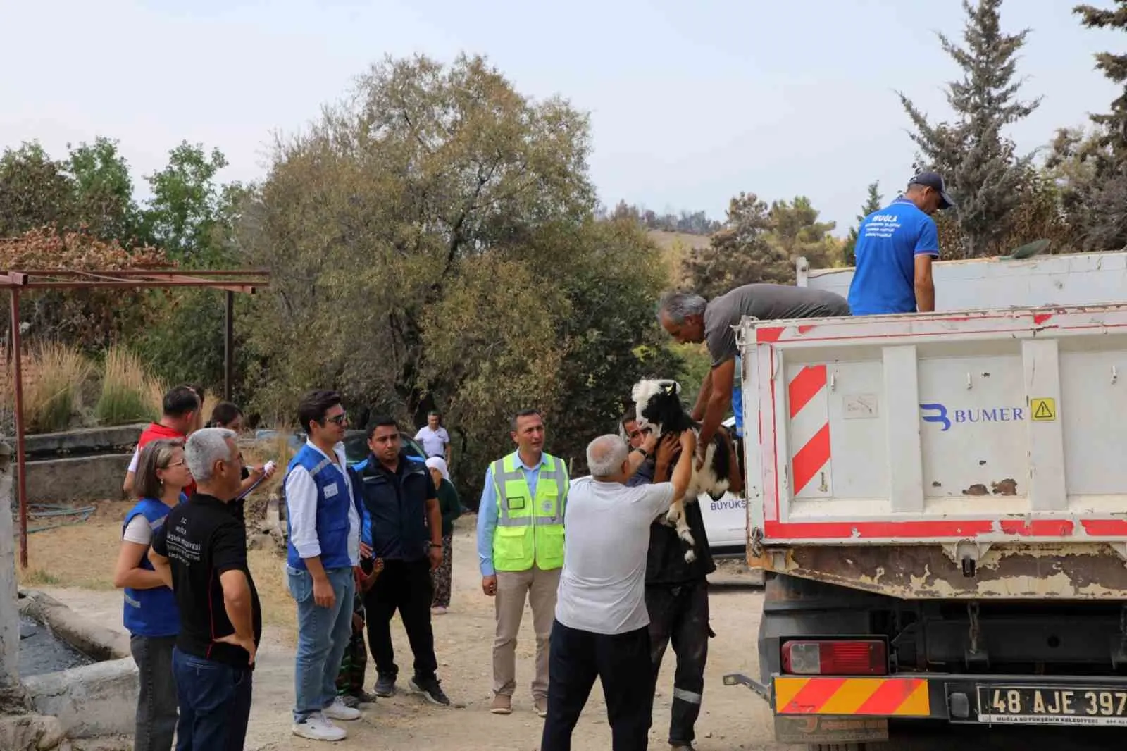 Seydikemer’de üretim ateşi yeniden yanıyor: Büyükşehir’den can suyu desteği