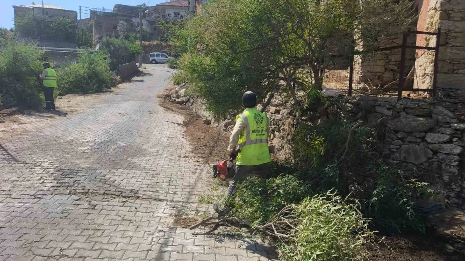 Karpuzlu’da yeşil seferberlik: İlçe baştan aşağı yenilendi