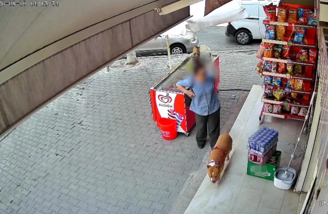 Karşıyaka'da Parmağı Kopan Anne: "O Köpek Bulunmadan Yüzüm Gülmeyecek"
