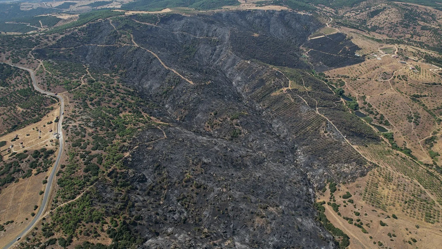 Manisa'da alevler bin dönümü küle çevirdi: Gün ışığıyla felaketin boyutu gözler önüne serildi