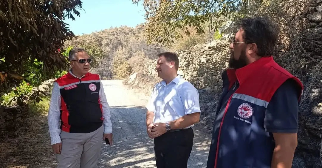 Çine’de yangın yaraları sarılıyor: Sahada hummalı çalışma