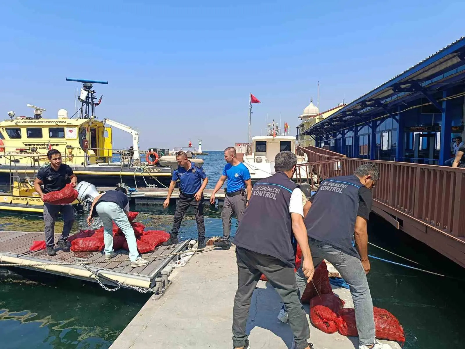 İnciraltı’nda kaçak avcılık baskını: Yarım tondan fazla midye kurtarıldı