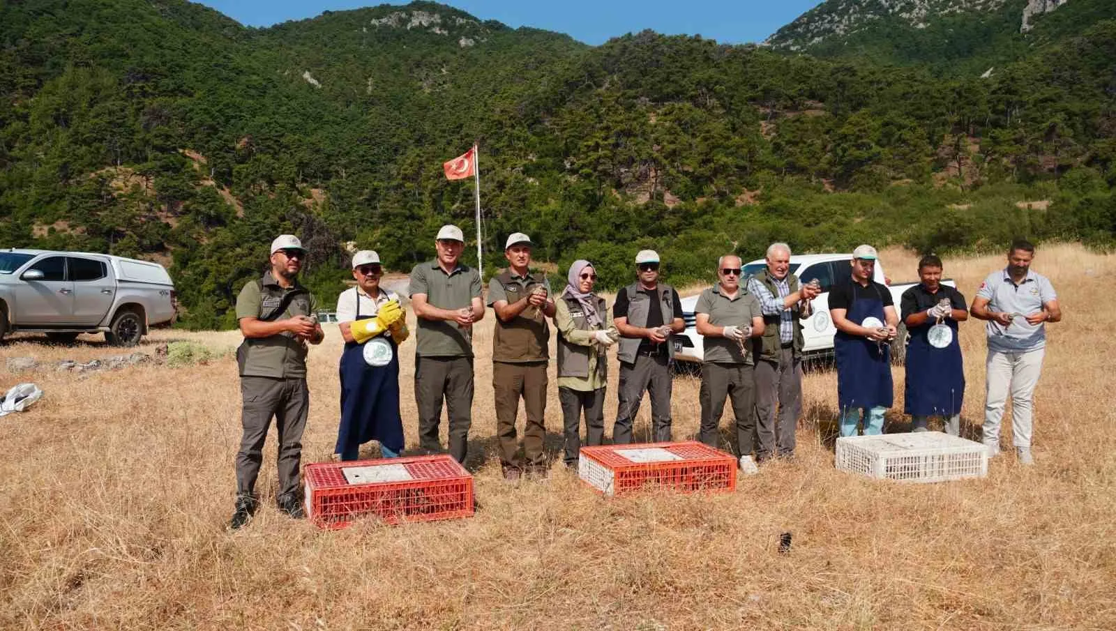 Manisa’nın yaban hayatına kanatlı destek: Bin 200 keklik doğaya bırakıldı