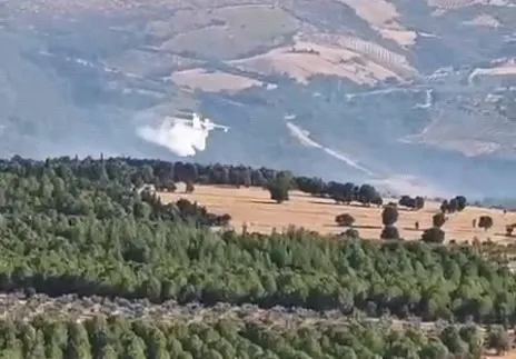 Gördes’te orman yangınına hızlı müdahale: Alevler 4 saatte kuşatıldı