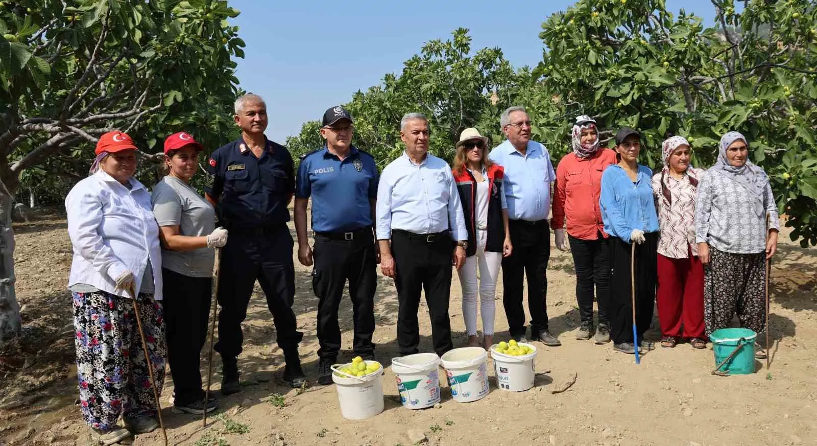 Aydın'ın bereketli topraklarında hasat heyecanı: İncirin başkentinde mesai şafakla başlıyor