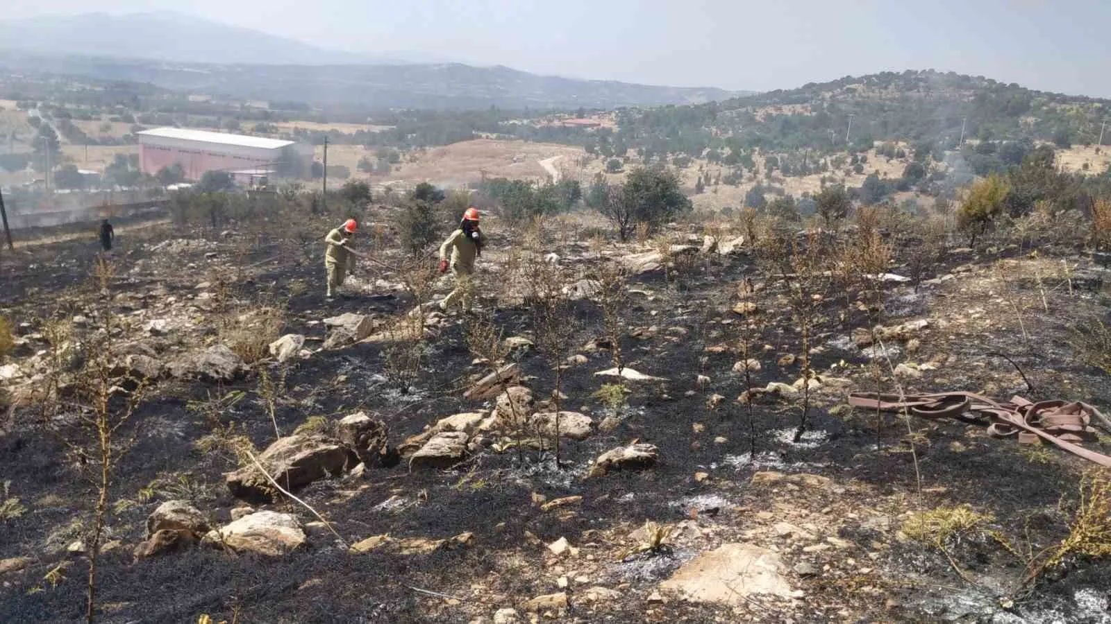 Bekilli’de orman alarmı: Ekipler alevlere geçit vermedi