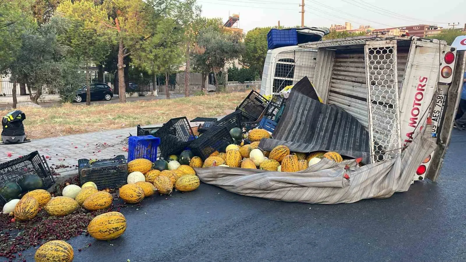 Direksiyon başında gelen uyku felakete yol açtı: Meyve yüklü pikap yan yattı