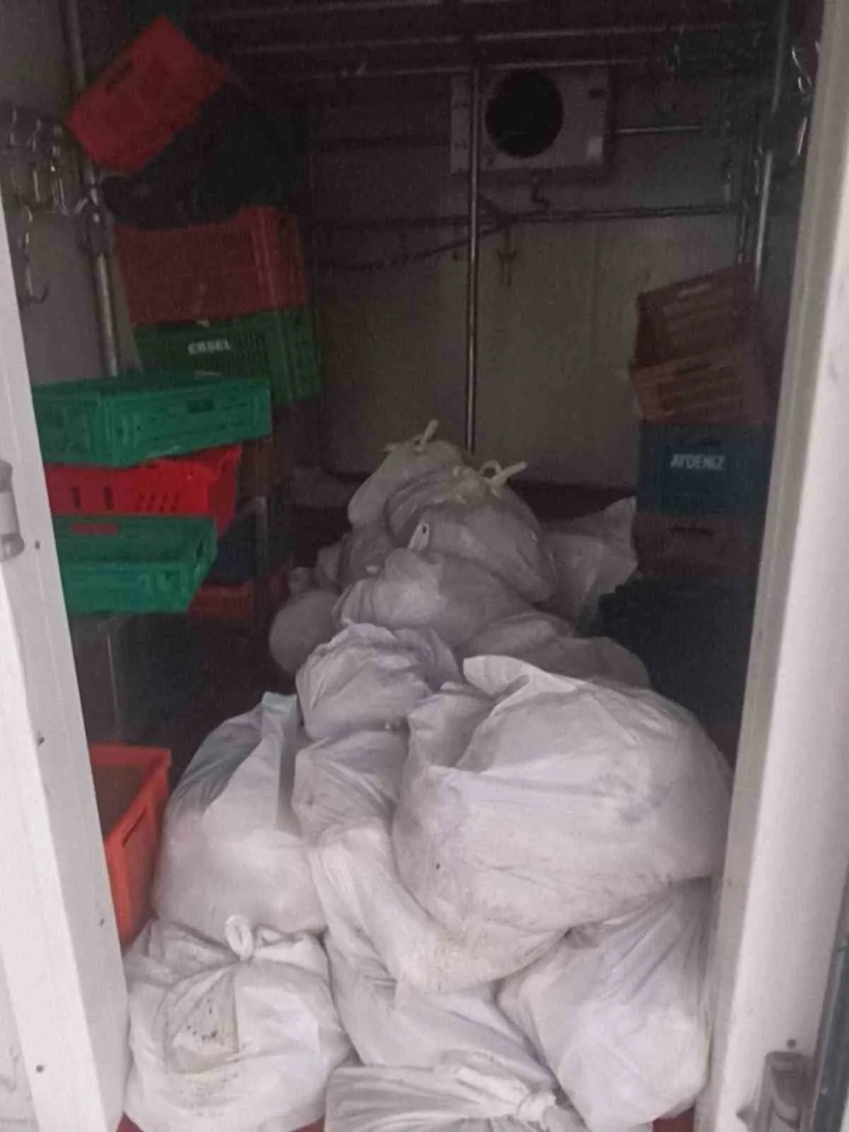 Bodrum'da Koku Ihbarı Depoyu Açtırdı: 400 Kilo Bozuk Et Ele Geçirildi