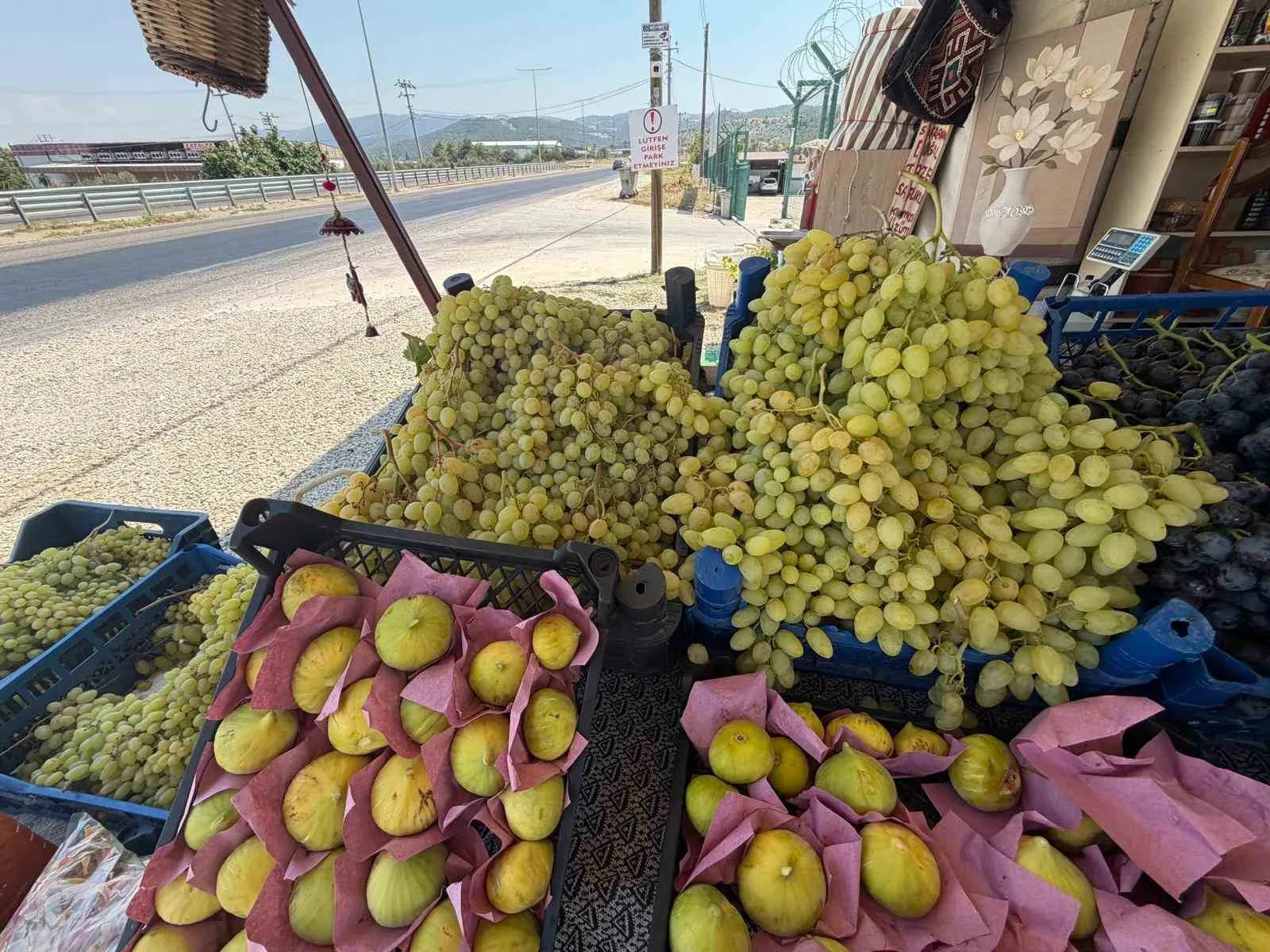 Yolculukta lezzet durağı: Kendi meyveni kendin topla